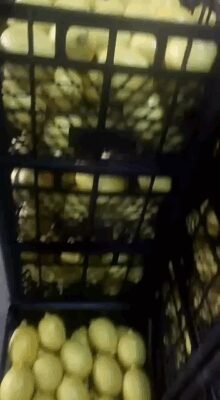 VID_20210115_222752_317_edited