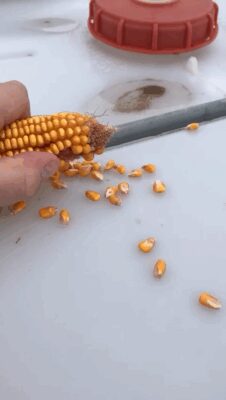 7caea34b-5171-4ed2-b82c-f74e1810c183