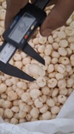 5ed324ea-9841-44d0-a64d-7d17ee1f8926