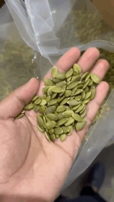 f626cf12-0f24-4e62-96f9-564c50417c0d