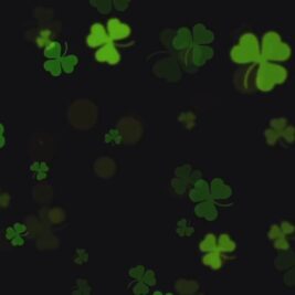 joined_video_5c2ecf9c816449f3992b095edb52ae23