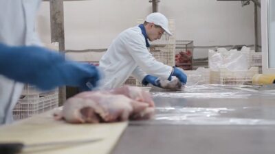 Eurocommerce meat company, best pork producer in Ukraine