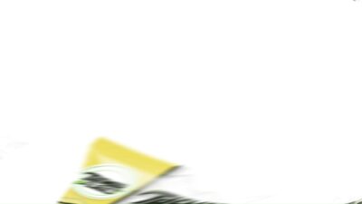 اكياس ثمار-