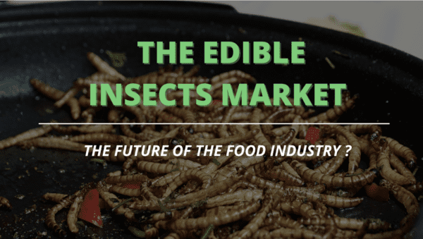 The Edible Insects Market: Innovations and Trends - uFoodin