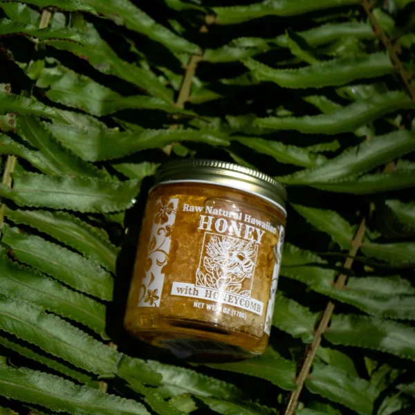 Honey with comb 6OZ