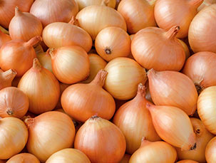 simba_product_foods_vegetables_onions_large