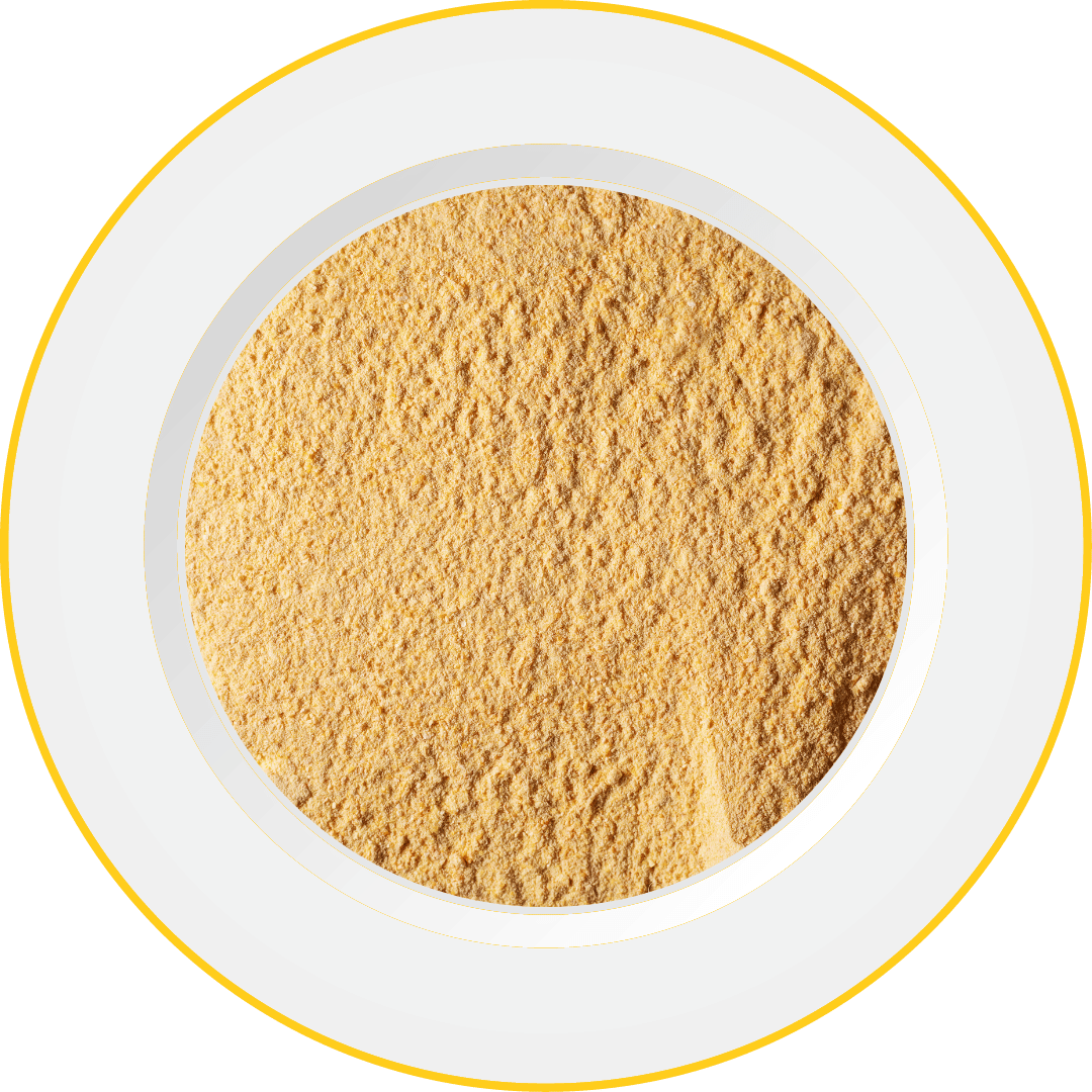 De-heated Mustard flour (Sinapis Alba)