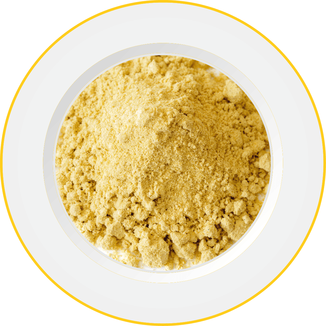 Mustard Flour Brassica Juncia