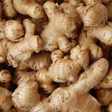 Ginger ( zingiber officinale)