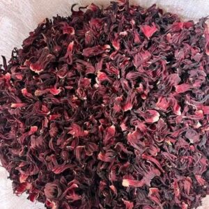 Hibiscus égyptien de première classe