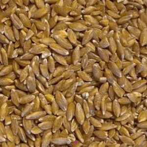 Organic decorticated einkorn (Copy)