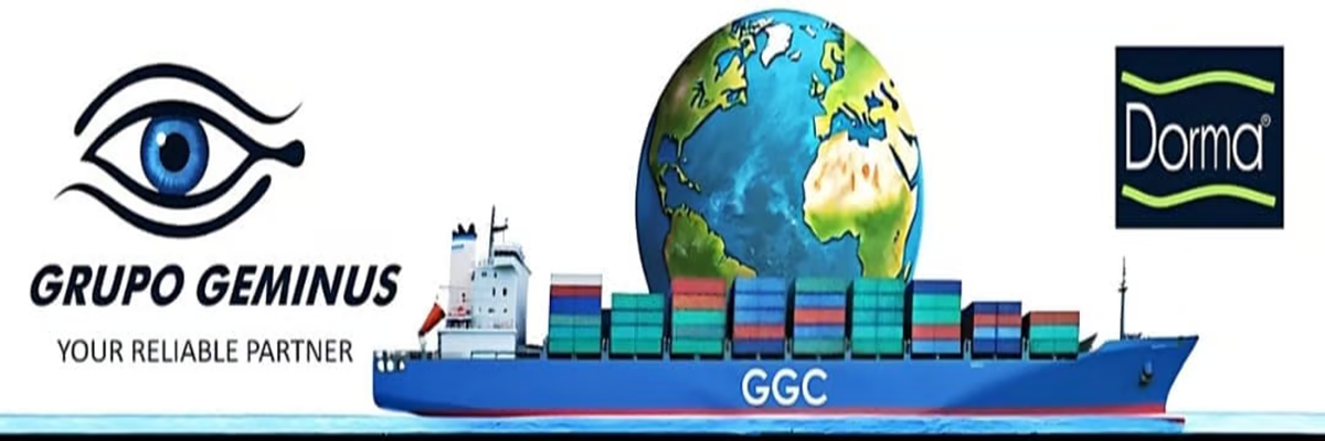 Geminus International Group Ltd.