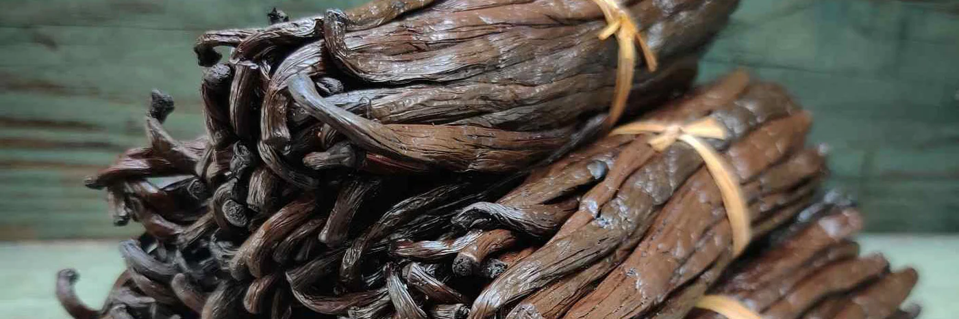 Madagaskar.dk