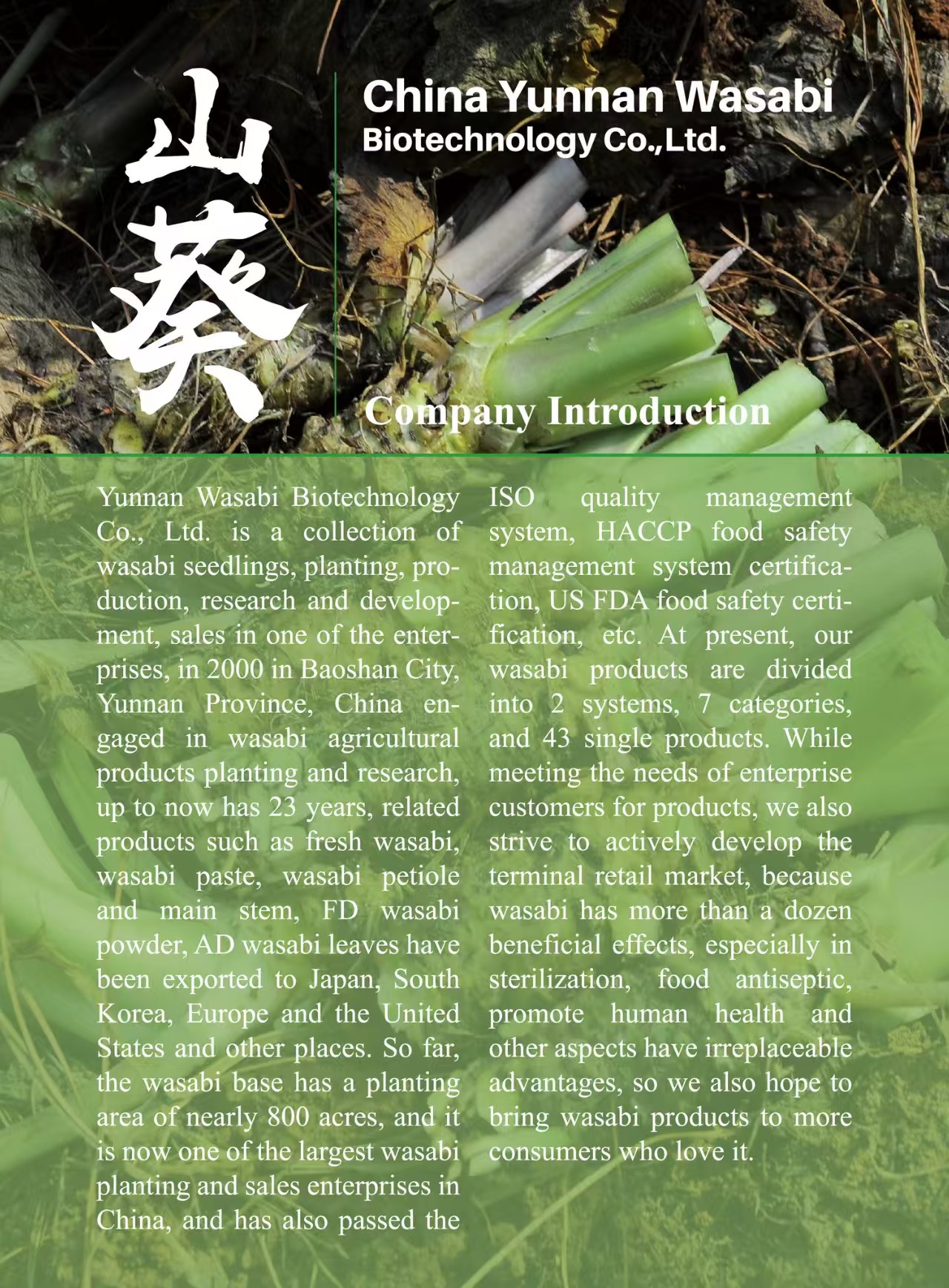 Guangdong Purewasabi International Trading Co., Ltd.