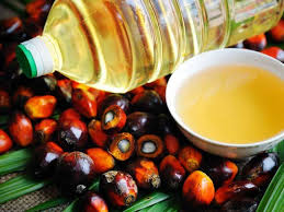 palm oil and other cooking oils in stock