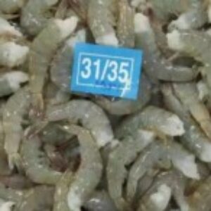 Profile photo of Aaqib Ali