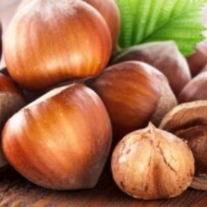 Profile photo of ESDER LLC HAZELNUT