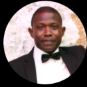 Profile photo of Olabode Adegboro