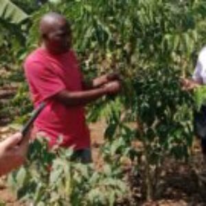 Profile photo of mbowa vincent