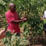 Profile photo of mbowa vincent