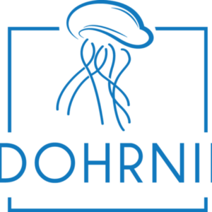 Profile photo of Geoffroy Gardair