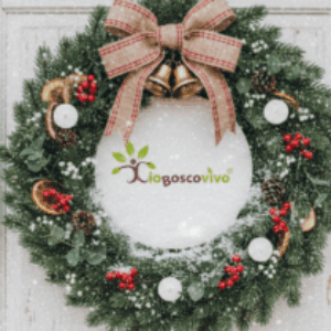 Profile photo of Silvia Bertesago