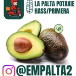 Profile photo of Eduardo Beltran Gomez