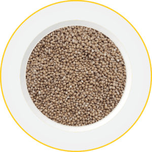 Graines de millet jaune, sans gluten