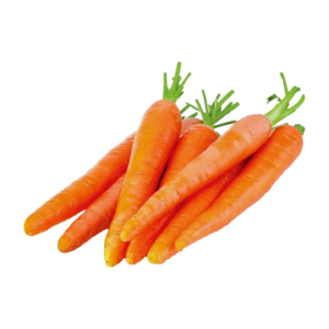 Carrot