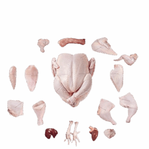 Frozen Chicken from Brazil – Grade A Chicken Paws, Whole Chicken, Wings, Cuts and By-products